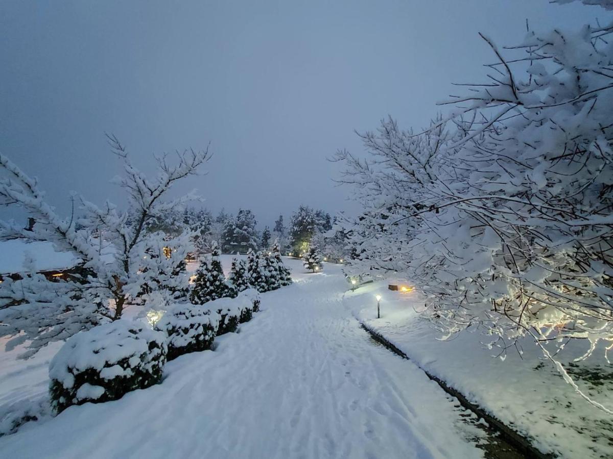 Aurora Resort & Spa Berova Dış mekan fotoğraf