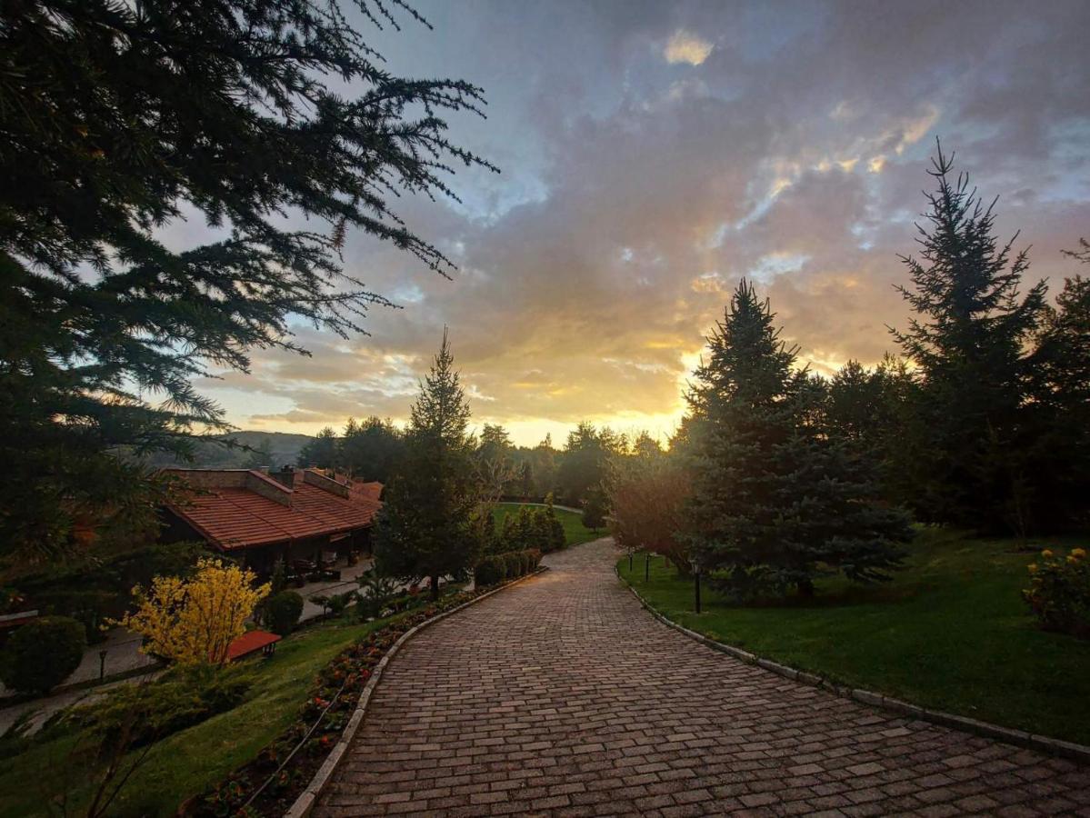 Aurora Resort & Spa Berova Dış mekan fotoğraf