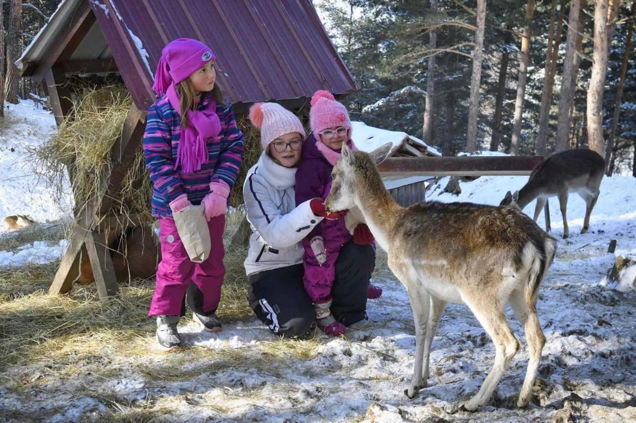 Aurora Resort & Spa Berova Dış mekan fotoğraf